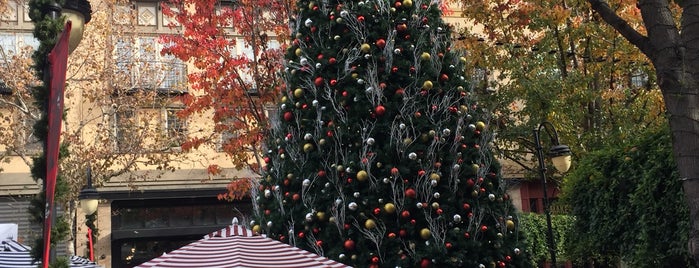 300 Santana Row is one of California time of the Year!.
