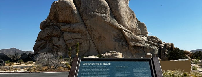 Intersection Rock is one of Joshua tree.