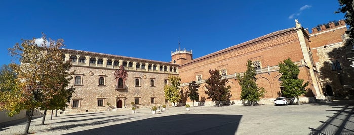 Palacio Arzobispal is one of Alcalá de Henares.
