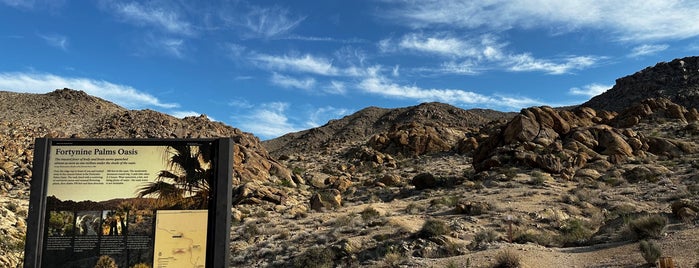 Fortynine Palms Oasis Trail is one of Desert Dreamin'.