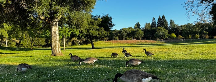 Vasona Lake County Park is one of Favourite Parks Penninsula.