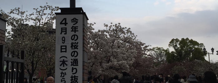造幣局 桜の通り抜け is one of 大阪.