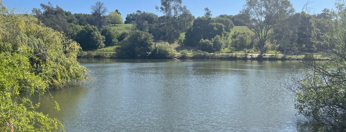 Spring Valley Pond is one of Milpitas.