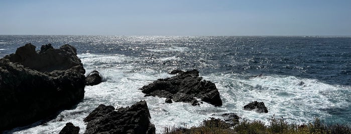 South Shore Trail is one of Hiking Trails.