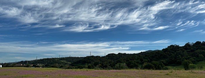 Rancho San Antonio County Park is one of Outdoors SF Bay.