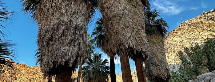 49 Palms Canyon Oasis is one of Palm Springs.