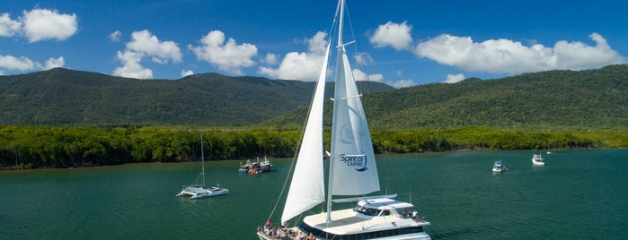 Spirit Of Cairns is one of Cairns.