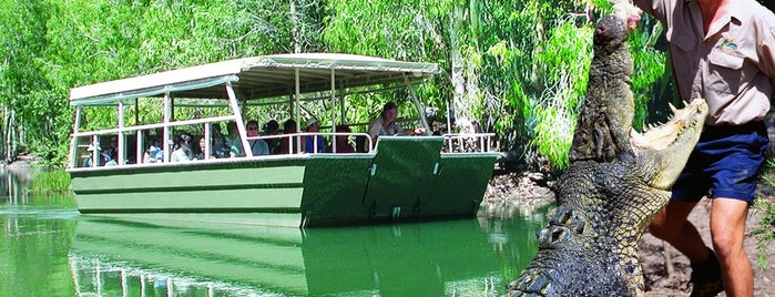 Hartley's Crocodile Adventures is one of Cairns.