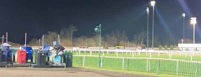 Kempton Park Racecourse is one of Tired of London, Tired of Life (Jul-Dec).