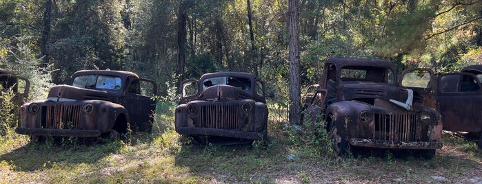 Roadside Rusted Ford Trucks is one of Nord-Florida Panhandle / USA.