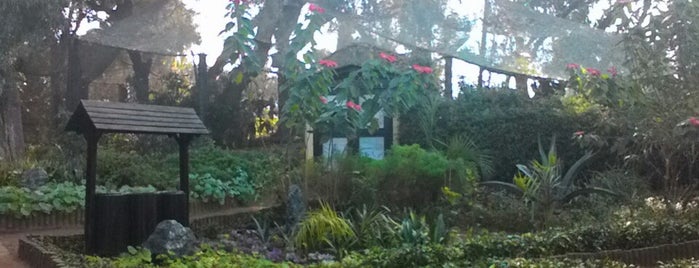 Jardins Exotiques is one of Rabat-Salé.