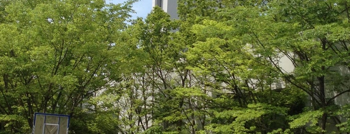 Waseda University is one of 大学.