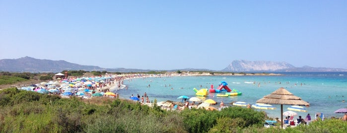 Spiaggia L'Isuledda is one of Sardinia.