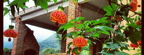 Restaurante Caminho do Ouro Paraty is one of Paraty.