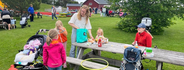 Foldvik Familiepark is one of Fornøyelses-/familieparker, dyrehager og akvarier.