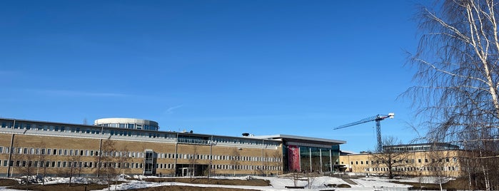 Umeå Universitet is one of Sweden.