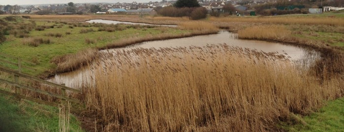 Pethericks Mill Marsh is one of Bude.
