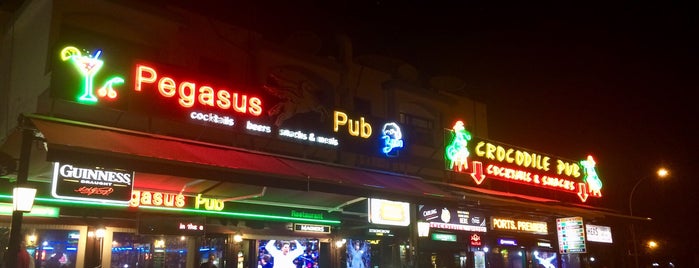Pegasus Pub And Restaurant is one of Пафос.