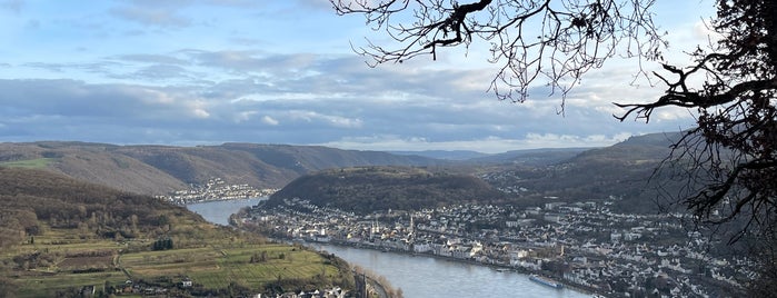 Rhine Valley is one of very special venues.