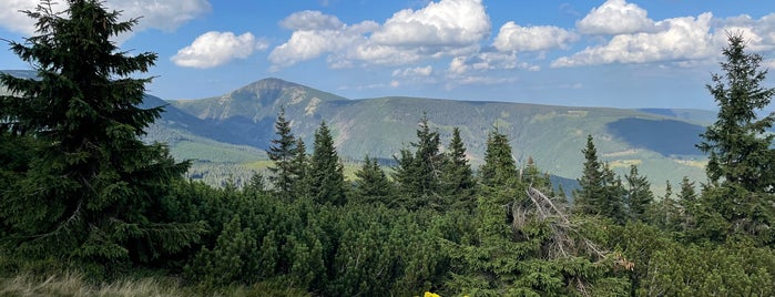 Liščí hora (1 363 m n. m.) is one of Janské Lázně.
