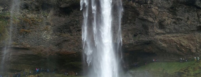 Seljalandsfoss is one of Desmond’s Liked Places.