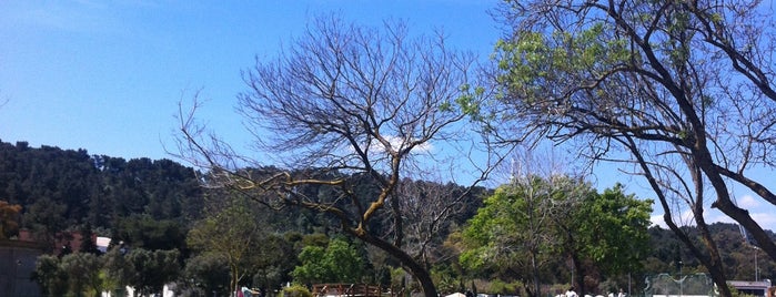 Parque Urbano do Jamor is one of Espaços verdes.