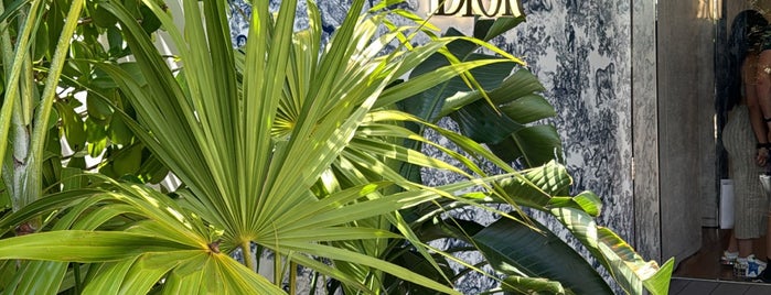 Café Dior is one of Miami.