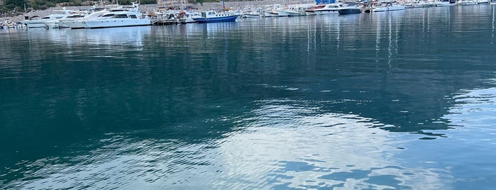 Tekneden  Balık Ziya Dayının Yeri is one of สถานที่ที่ Abdi ถูกใจ.