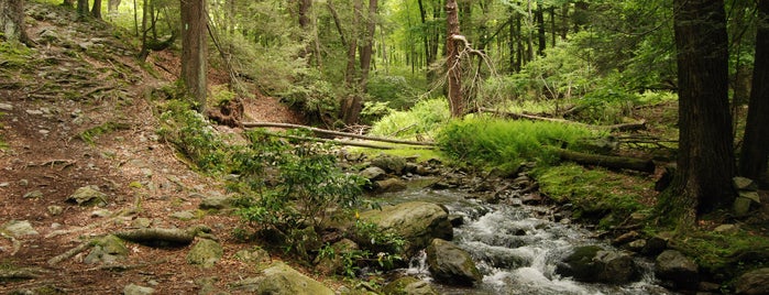 Pocono Environmental Education Center is one of PA list.