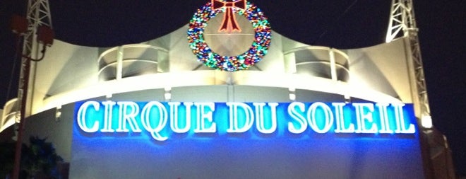 La Nouba by Cirque du Soleil is one of USA.