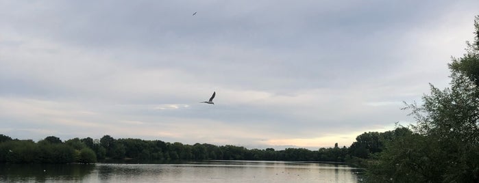 Kingsbury Water Park is one of landmarks.