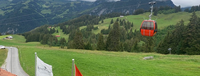 Hamilton Lodge Zweisimmen is one of Швейцария 🇨🇭.