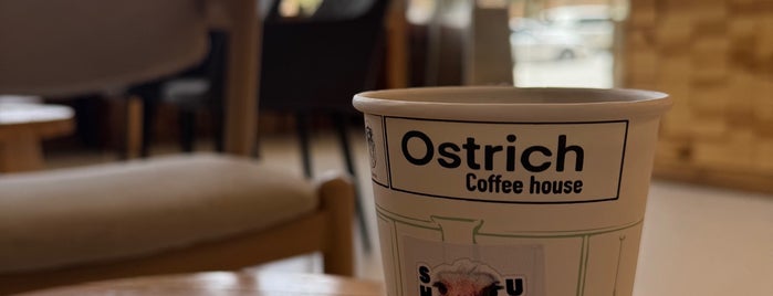 Ostrich is one of Riyadh coffee.