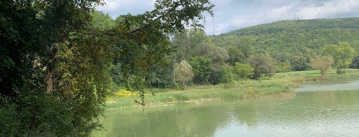 Kanakadea is one of Places to fish.
