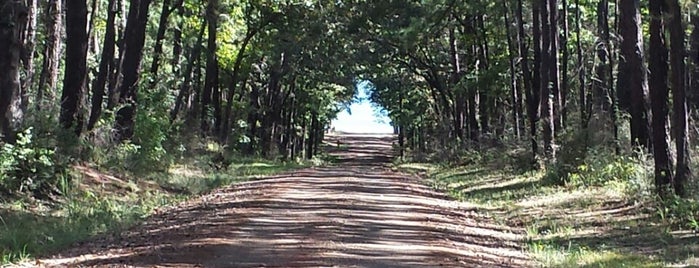 Sabine National Forest is one of National Recreation Areas.