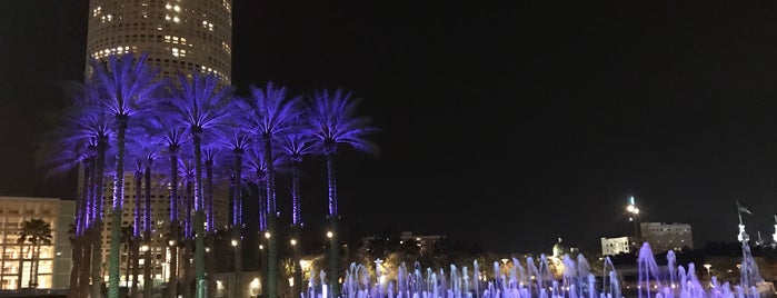 Curtis Hixon Waterfront Park is one of Lugares favoritos de Ben.