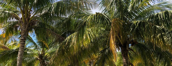 Punakea Palms is one of Maui Reccs.
