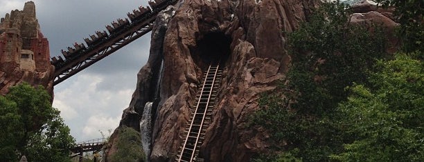 Expedition Everest is one of WdW Animal Kingdom.