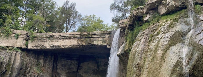 Ludlowville Falls is one of Nature - go explore!.