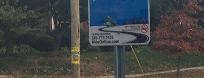 STOP ID NO. 25834 R RideOn Montgomery County Transit is one of created.
