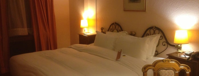 Hotel Rotary Geneva is one of Accor.