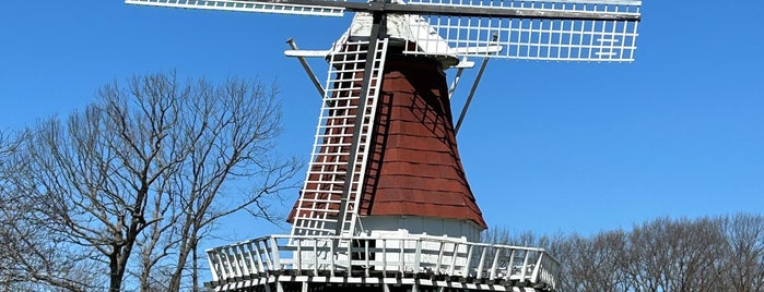 Windmill Island is one of Holland is amazing.