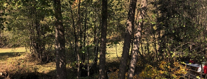 Pona Balık Gölü is one of ✖ Türkiye - Artvin.