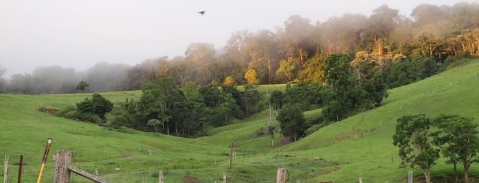 Eungella National Park is one of down under.