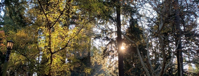 Laurelhurst Park is one of Oregon.