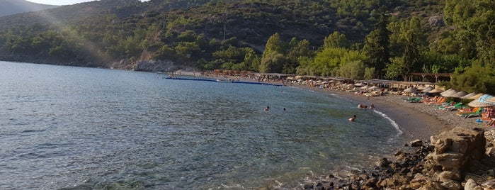 Tempat yang Disimpan Deniz