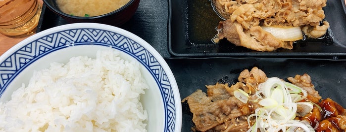 Yoshinoya is one of 兵庫県の牛丼チェーン店.