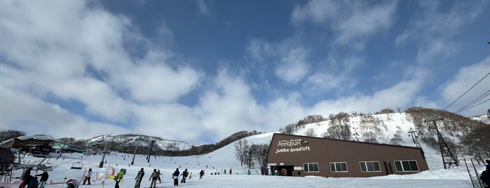Niseko Annupuri International Ski Area is one of Orte, die Richard gefallen.