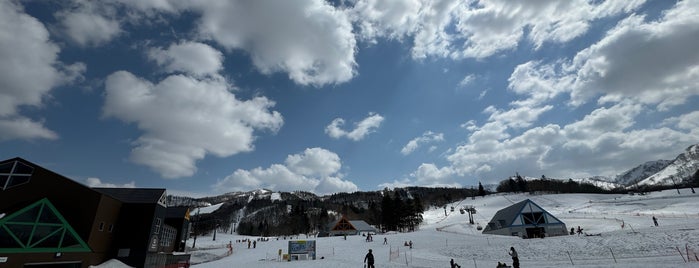キロロスノーワールド is one of スキー場(北海道).