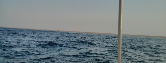 Yanbu Bikini Beach is one of Feras'ın Kaydettiği Mekanlar.